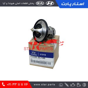 ترموستات آب